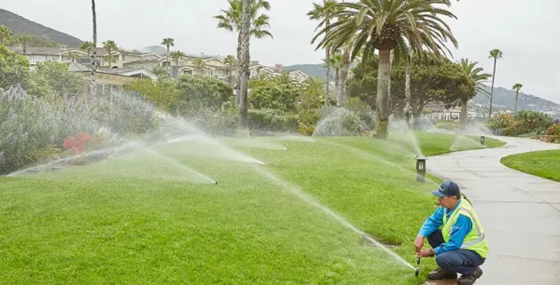 Frequently Asked Irrigation Questions